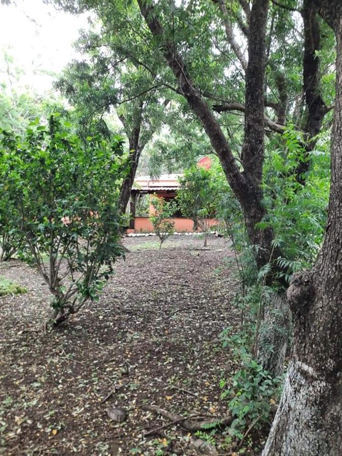 Nasu Lodge La Cruz  Εξωτερικό φωτογραφία