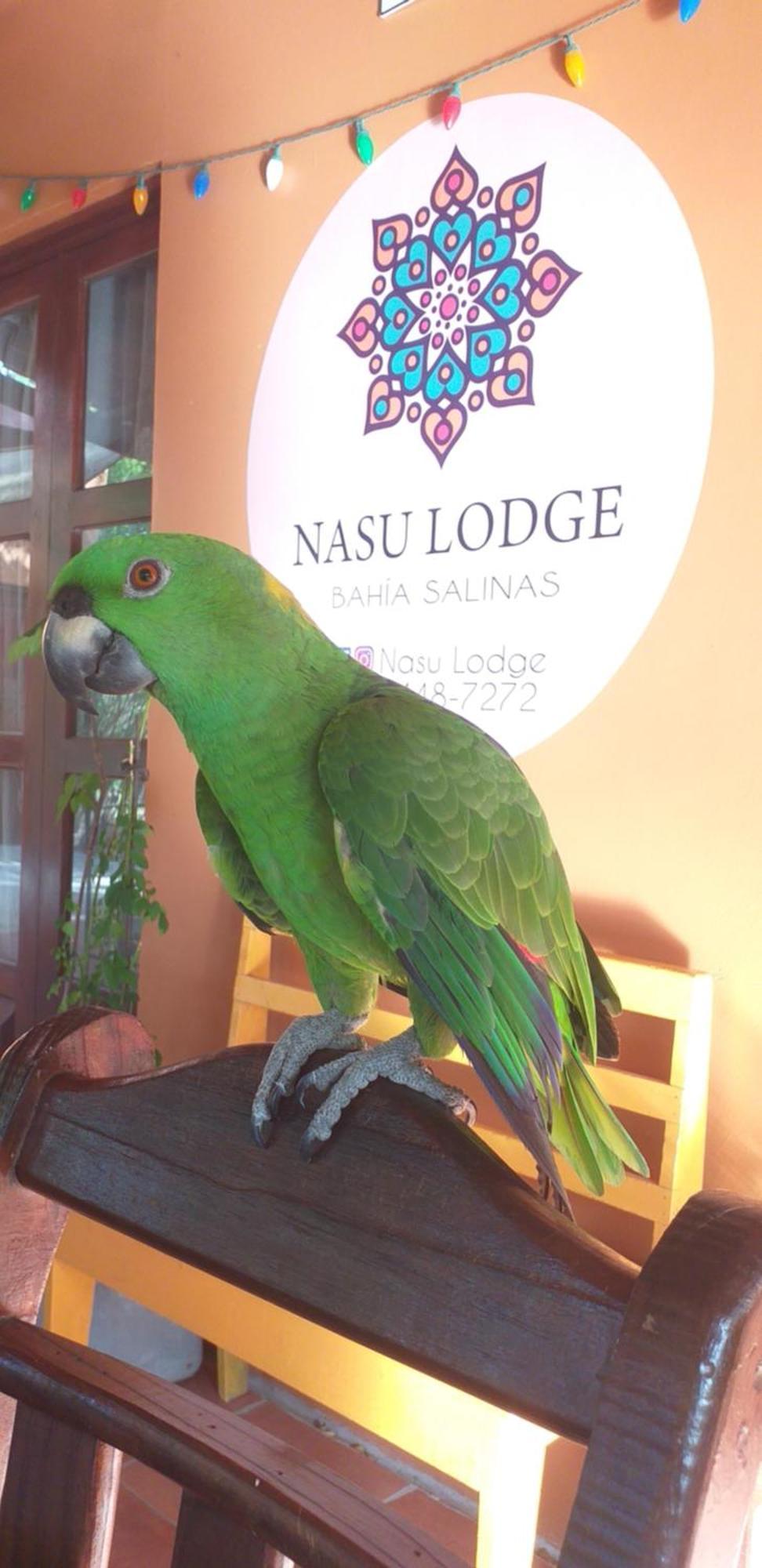 Nasu Lodge La Cruz  Εξωτερικό φωτογραφία