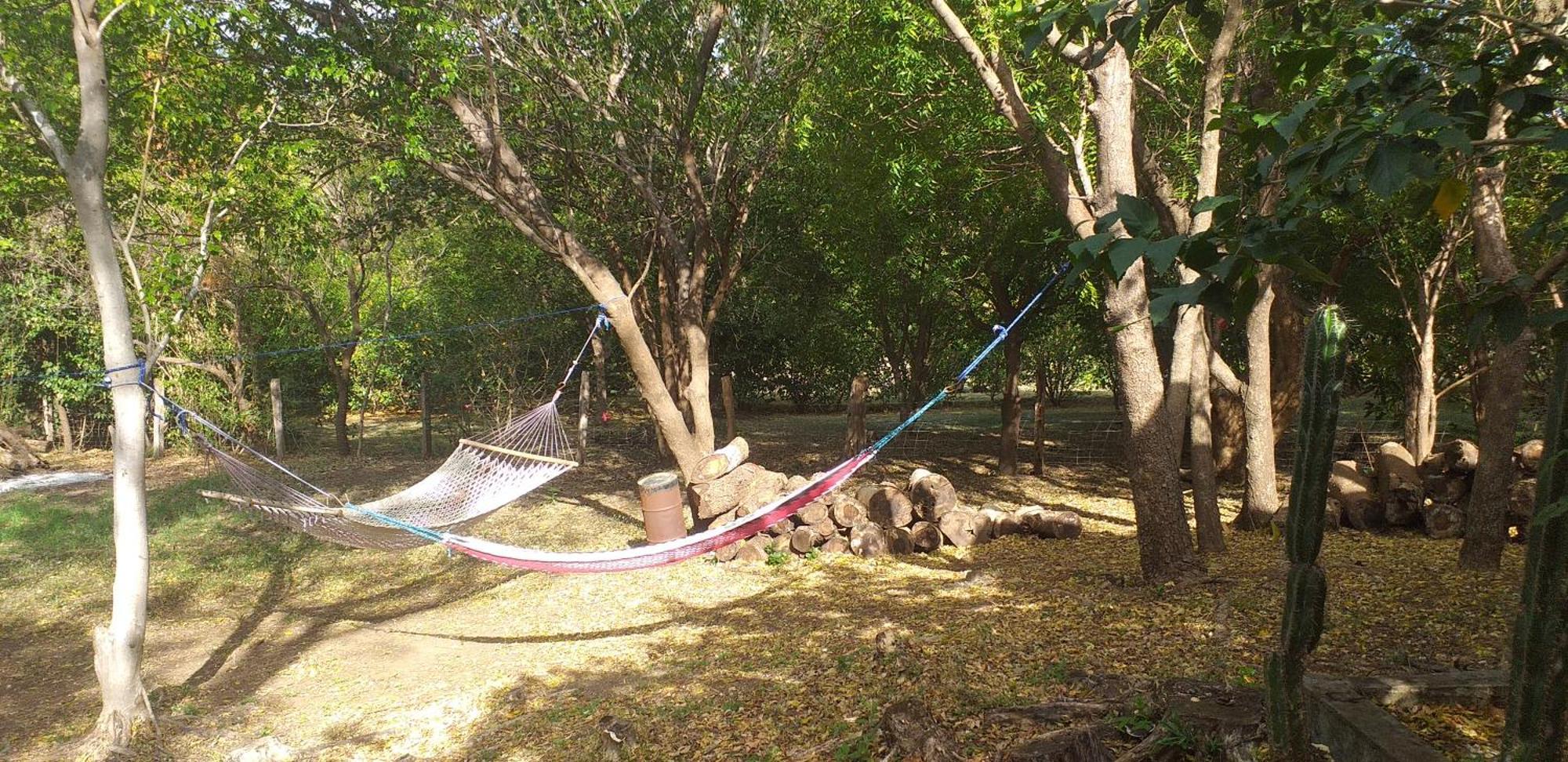 Nasu Lodge La Cruz  Εξωτερικό φωτογραφία